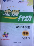 2017年金榜行動課時導學案八年級思品下冊人民版