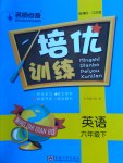 2017年名師點(diǎn)撥培優(yōu)訓(xùn)練六年級(jí)英語(yǔ)下冊(cè)江蘇版