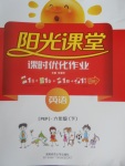 2017年陽光課堂課時優(yōu)化作業(yè)六年級英語下冊人教PEP版