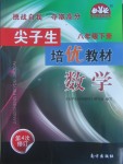 2017年尖子生培優(yōu)教材八年級數(shù)學下冊