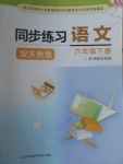 2017年同步練習六年級語文下冊蘇教版江蘇鳳凰科學技術(shù)出版社