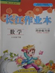 2017年長江作業(yè)本同步練習(xí)冊六年級數(shù)學(xué)下冊人教版