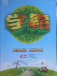 2017年經(jīng)綸學(xué)典學(xué)霸四年級語文下冊江蘇版