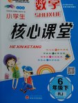 2017年小學(xué)生核心課堂六年級(jí)數(shù)學(xué)下冊(cè)人教版