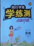 2017年同行學(xué)案學(xué)練測九年級歷史下冊人教版