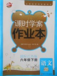 2017年金鑰匙課時學案作業(yè)本六年級語文下冊江蘇版