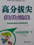 2017年高分拔尖提優(yōu)訓練六年級數(shù)學下冊江蘇版