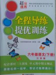 2017年全程导练提优训练六年级语文下册江苏版