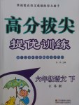 2017年高分拔尖提優(yōu)訓練六年級語文下冊江蘇版