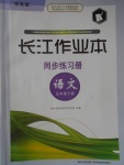 2017年長江作業(yè)本同步練習(xí)冊九年級語文下冊鄂教版