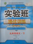 2017年實驗班提優訓練九年級語文下冊語文版