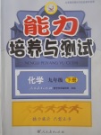 2017年能力培養(yǎng)與測試九年級化學下冊人教版H