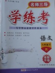 2017年名師三導(dǎo)學(xué)練考八年級(jí)語(yǔ)文下冊(cè)人教版