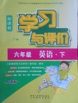 2017年新課程學(xué)習(xí)與評(píng)價(jià)六年級(jí)英語(yǔ)下冊(cè)人教版