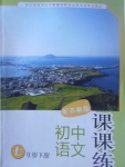 2017年課課練初中語文七年級下冊蘇教版