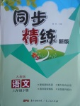 2017年同步精練新版六年級(jí)語(yǔ)文下冊(cè)人教版