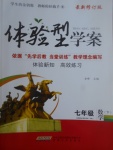 2017年體驗型學案體驗新知高效練習七年級數學下冊