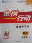 2017年金榜行動(dòng)課時(shí)導(dǎo)學(xué)案九年級(jí)數(shù)學(xué)下冊滬科版