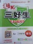 2017年培優(yōu)三好生課時(shí)作業(yè)六年級(jí)語(yǔ)文下冊(cè)人教A版