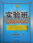 2017年實驗班提優(yōu)輔導教程六年級語文下冊