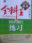 2017年全科王同步課時(shí)練習(xí)九年級(jí)語文下冊(cè)江蘇版