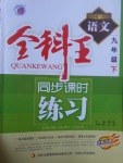 2017年全科王同步課時(shí)練習(xí)九年級(jí)語文下冊(cè)河大版