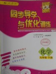 2017年同步導學與優(yōu)化訓練九年級化學下冊人教版