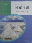 2017年補充習題九年級化學下冊人教版人民教育出版社