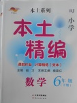 2017年本土精編六年級(jí)數(shù)學(xué)下冊(cè)人教版