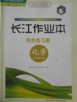 2017年長江作業(yè)本同步練習冊九年級化學下冊人教版