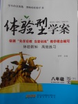 2017年體驗型學案體驗新知高效練習八年級歷史下冊人教版