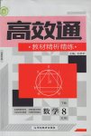 2017年高效通教材精析精練八年級數學下冊湘教版