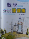 2017年數(shù)學(xué)分層課課練七年級(jí)下冊(cè)浙教版