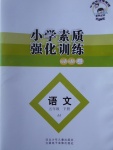 2017年小學素質(zhì)強化訓練AB卷五年級語文下冊冀教版