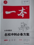 2017年一本小升初語(yǔ)文名校沖刺必備方案