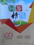 2017年同步精練九年級(jí)歷史下冊(cè)北師大版