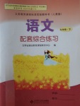 2017年語文配套綜合練習(xí)九年級(jí)下冊(cè)人教版北京師范大學(xué)出版社