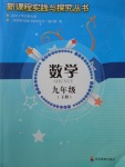 2017年新課程實(shí)踐與探究叢書(shū)九年級(jí)數(shù)學(xué)下冊(cè)華師大版