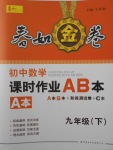 2017年春如金卷初中數(shù)學課時作業(yè)AB本九年級下冊