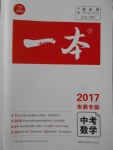 2017年一本中考數(shù)學(xué)安徽專版