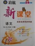 2017年啟航新課堂名校名師同步學(xué)案九年級語文下冊人教版