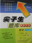 2017年尖子生題庫六年級數(shù)學(xué)下冊人教版