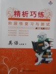 2017年精析巧练阶段性复习与测试九年级英语下册SLR