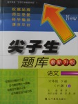 2017年尖子生題庫(kù)六年級(jí)語(yǔ)文下冊(cè)人教版