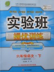 2017年實驗班提優訓練六年級語文下冊滬教版上海地區專用