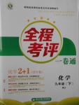 2017年全程考評一卷通九年級化學下冊人教版