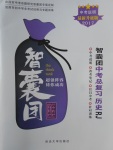 2017年智囊團中考總復習歷史人教版