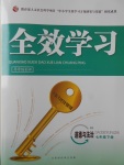 2017年全效學習七年級道德與法治下冊人教版