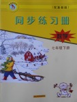 2017年同步練習(xí)冊(cè)七年級(jí)數(shù)學(xué)下冊(cè)冀教版河北教育出版社