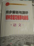 2017年同步解析與測評初中總復(fù)習(xí)指導(dǎo)與訓(xùn)練語文